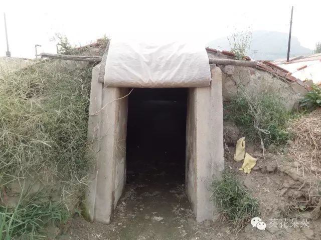 1679035268129040.jpg 微信圖片_20230317144122.jpg